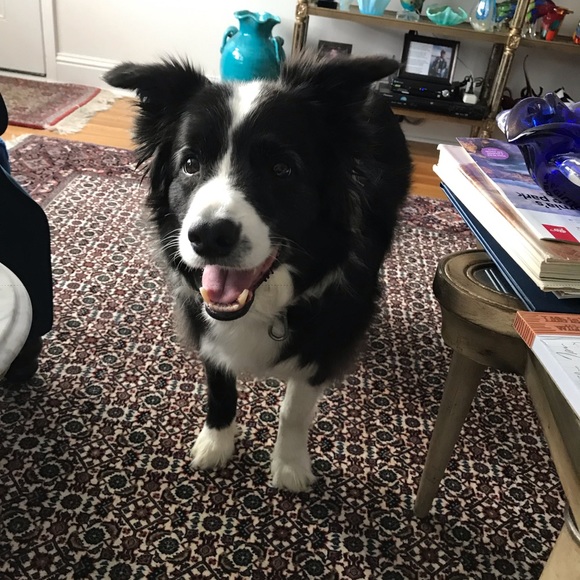 Meet your Posher, Jean - Picture 4 of 16